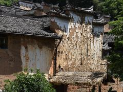 -杨家堂村