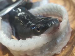 -本炙炭烤·蒲烧活鳗料理店(金沙洲店)