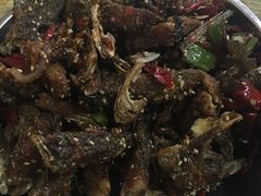 -风鑫铃罗非鱼(道沟店)