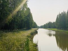 -黄海国家森林公园