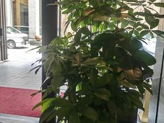 -珠海棕泉水疗酒店(拱北口岸高铁站店)