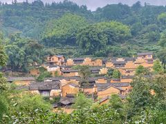 -杨家堂村