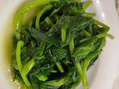 酒香豆苗-老吉士(环贸iapm店)