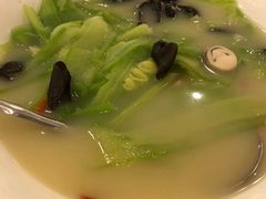 鸡汁云耳浸凉瓜青-朱仔记食府(江南大道店)