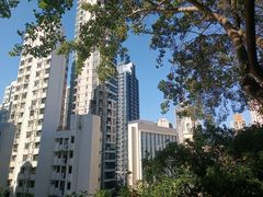 -香港大学