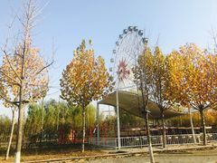 -兰陵国家农业公园