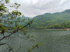 -秦岭终南山世界地质公园翠华山景区