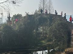 -雅安上里古镇
