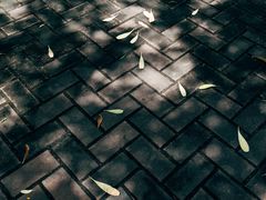 -华南师范大学(广州大学城校区)