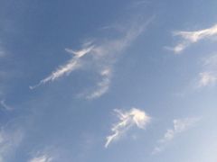 -韩国利尔面包(桂林路店)