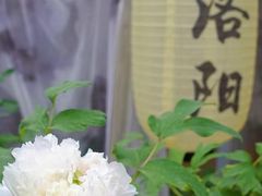 -洛阳市隋唐城遗址植物园