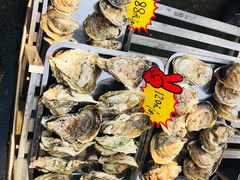 -蚝专家(北滘店)