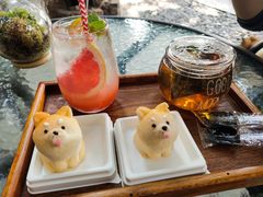 -柴犬高等学院·狗咖·柴犬售卖·宠物训练