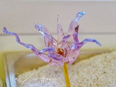 -不贰手作陶艺diy·烧玻璃·银饰团建(人民大学店)