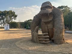 -嘉北郊野公园