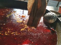 鲜毛肚-星鸿社重庆老火锅
