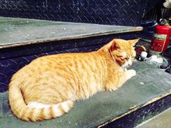 -天一朴素(武汉大学店)