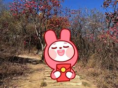 -北京上方山国家森林公园