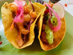 -Pistolera Mexican Cantina女枪手墨西哥餐厅(碧云路店)