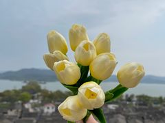 -东钱湖旅游度假区