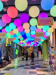 -宝燕乐园(闵行旗舰店)