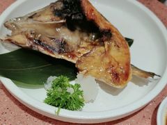 -元气寿司(金光华店)