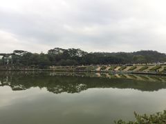 -东莞植物园