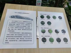 -成都市活水公园