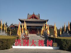 -大槐树寻根祭祖园