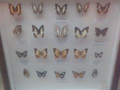 -陕西自然博物馆