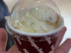 夏威夷果仁味-哈根达斯(国瑞店)