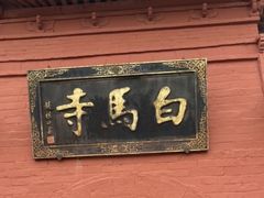 -洛阳白马寺