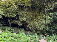 -海口火山口国家地质公园