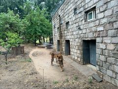 -北京野生动物园