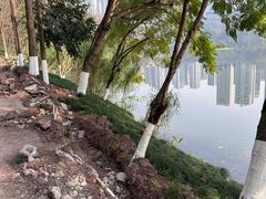 -重庆彩云湖湿地公园