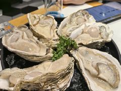 -蚝大仙横琴生蚝火锅(中央汇店)