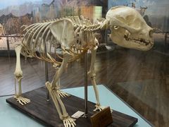 -陕西自然博物馆