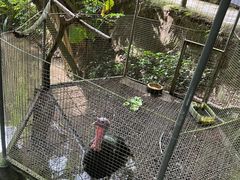 -青青世界