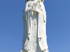 -白洋淀景区