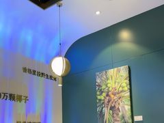 -烹然四季椰子鸡火锅(姚家园万象汇店)