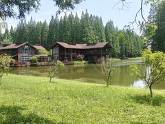 -黄海国家森林公园