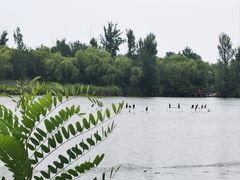 -翠湖国家城市湿地公园