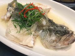 油盐鲈鱼-新榕记滨江壹號