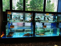 水产区-永红源啤酒·烧烤·海鲜·大排档(青特城店)