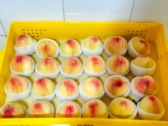 -老袁家蜜桃农场·阳山水蜜桃