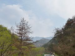 -木兰云雾山