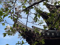 -龙华寺