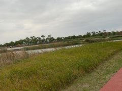 -春花秋色城市公园