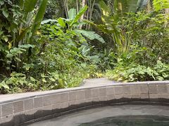 -七仙岭温泉国家森林公园