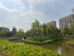 -皇粮浜湿地公园